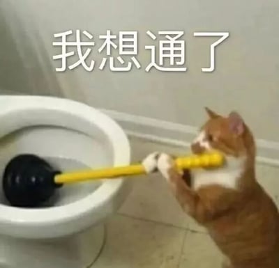 这是一张文字加注的静态单图，画面主体是一只橘白相间的猫咪，它用两只前爪握住一个黄柄黑吸盘的马桶搋子，将搋子的吸盘部分置于白色马桶内部，猫咪的神态看起来十分专注，仿佛正在进行疏通马桶的动作。图片上方配有醒目的白色文字“我想通了”，这里运用了双关的创意：“通了”一方面对应马桶搋子疏通马桶的功能，另一方面指代人解开疑惑、想明白某件事的状态，将猫咪的动作和文字结合，制造出诙谐幽默的效果，适合用来表达自己豁然开朗的心情。