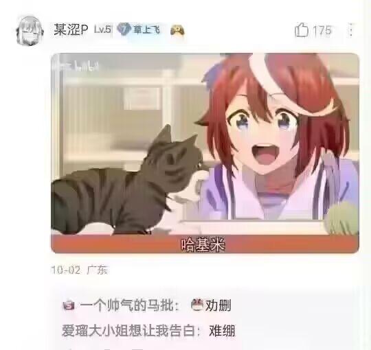 原创动物素材