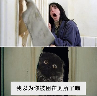 这是一张上下拼接的搞笑改编梗图，上半部分是经典恐怖电影《闪灵》中的名场面：主角温蒂惊恐地躲在被砍破的门后，面对门外的菜刀，满脸恐惧、大张着嘴，身体蜷缩；下半部分则用一只从门洞里探出头的无辜苏格兰折耳黑猫替换了原场景中的杰克，配上文字“我以为你被困在厕所了喵”，将原本紧张恐怖的场景瞬间反转成搞笑的日常误会，通过强烈的反差感制造出幽默效果，让人忍俊不禁。