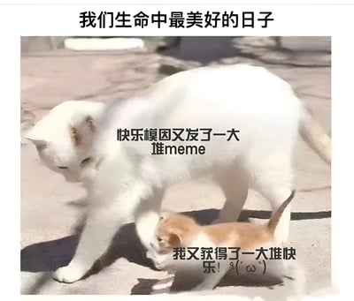 图片上方有标题'我们生命中最美好的日子'，下方是一张实拍照片，展示了一只白色成年猫和一只橘色小猫的温馨互动场景。白猫站在前面，身上有文字'快乐模因又发了一大堆meme'，小猫在白猫下方，配文'我又获得了一大堆快乐! (๑•̀ㅂ•́)و✧'，整体营造出轻松愉快的氛围。