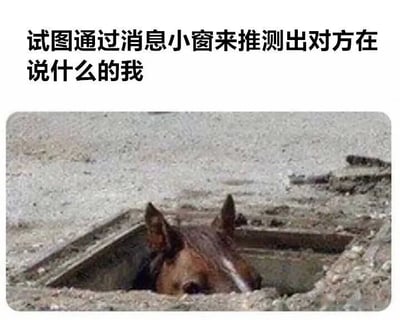图片上方配有文字'试图通过消息小窗来推测出对方在说什么的我'，下方是一张马的头部从井盖下探出来的照片。马的眼睛专注地向前看，仿佛正努力从狭小的空间中窥探外界，形象地比喻了人们在聊天时，通过消息小窗（如未展开的聊天预览）急切猜测对方发送内容的好奇与专注心态。