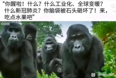 暂无描述