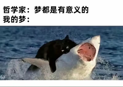 这张图分为上下两部分，上面有文字“哲学家：梦都是有意义的 我的梦：”，下面是一张合成的离谱图片，黑猫骑在鲨鱼背上从水中跃出，场面极其荒诞。

图片用荒唐的梦境画面和哲学家言论形成反差，突出梦境的无意义和无厘头，具有很强的幽默感和吐槽意味。没有明显双关、谐音或暗示梗。