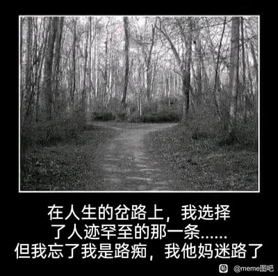 这是一张顶配底文的黑白静态meme图，画面部分呈现了森林中分出两条岔路的场景，对应经典诗歌《未选择的路》的核心意象；下方配文先模仿诗歌中“选择人迹罕至的路”的文艺表述，随后用接地气的吐槽转折，点明自己是路痴最后迷路的现实，通过文艺设定与接地气自嘲的强烈反差，制造出荒诞搞笑的效果，精准戳中路痴群体的共鸣，充满自嘲式的幽默感。