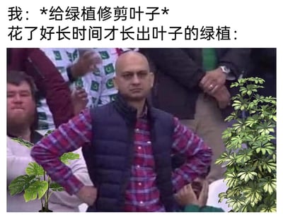 这是一张经过二次创作的搞笑梗图，采用图文混排的形式呈现。上方文字分为两部分，第一部分以“我”的视角描述行为：“*给绿植修剪叶子*”，第二部分标注“花了好长时间才长出叶子的绿植：”，下方配图是一个双手叉腰、面色严肃满脸不悦的光头真人男子，在男子的左右两侧还添加了不同的绿植图案，将绿植拟人化，用男子愤怒不满的神态来表现绿植好不容易长出的叶子被修剪后，充满怨念和委屈的情绪，把日常绿植养护的场景赋予趣味化的情绪表达，制造出幽默搞笑的效果。