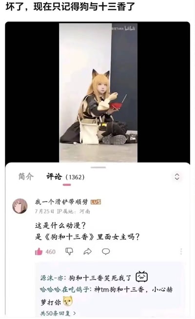 图片上方配有文字“坏了，现在只记得狗与十三香了”，中间是一段视频截图，内容为一位金发狐耳少女coser身着棕色系服饰，盘腿坐在地上，手持红色碗和筷子作进食状。下方是Bilibili视频的评论区截图，显示用户“我一个滑铲带顺劈”提问“这是什么动漫？是《狗和十三香》里面女主吗？”，该评论获460赞，下方有其他用户回复“狗和十三香笑死我了”“神tm狗和十三香，小心赫萝打你”并配狗头表情。
图片中存在谐音梗：用户将动漫《狼与香辛料》（日语原名《狼と香辛料》）误记为“狗与十三香”，利用“狼”与“狗”、“香辛料”与“十三香”的发音/词义近似制造笑点。