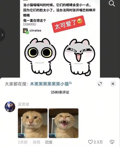 这张图对猫咪叫的时候眼睛会变小进行幽默科普解释，配了卡通猫和真实猫的对比图。卡通猫的两幅形象分别夸张地展示了猫咪既瞪大眼又张大嘴的“物理不可能”，底部评论增补了猫咪真实张嘴时眯眼的照片呼应上面的梗，整体氛围逗趣，容易引发“太可爱了”的共鸣。

有轻微暗示成分（猫咪表情夸张及拟人化），同时上方“太可爱了”用表情加强萌感，形成逗趣反差。无明显双关或谐音梗。
