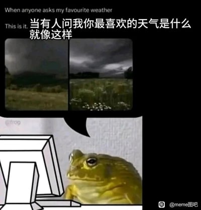 这是一张采用剧场式构图的趣味meme图，整体分为上下两部分，上方是两张乌云密布、天色暗沉的户外风景图，搭配中文配文“当有人问我你最喜欢的天气是什么 就像这样”以及对应的英文原文；下方是一只表情平静的青蛙，它面前摆放着一个简笔画风格的显示器，青蛙的对话气泡中呈现的就是上方的阴沉天气画面。图中通过拟人化的手法，让青蛙表达出对这种压抑、阴沉天气的喜爱，与大众普遍偏好晴朗天气的常态形成反差，以幽默的方式展现小众的个人喜好，引发有相同喜好的人的共鸣。