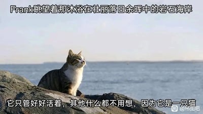 暂无描述