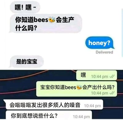图片展示了两段幽默的聊天对话。第一段对话中，一方用“你知道bees🐝会生产什么吗？”提问，对方回答“honey?”后得到“是的宝宝”的回应；第二段对话则反转，同样的提问却得到“会嗡嗡嗡发出很多烦人的噪音 你到底想說些什么？”的吐槽式回答。通过前后对比制造笑点，利用蜜蜂“产蜜”与“嗡嗡声”的双重联想形成幽默效果。