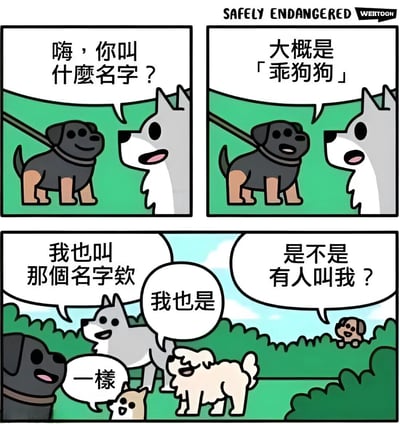 这是一幅三格连环漫画，描绘了几只狗狗的有趣对话。第一格中，灰色狗狗问黑色棕腿狗狗：'嗨，你叫什么名字？'；第二格中，黑色棕腿狗狗回答：'大概是「乖狗狗」'；第三格中，更多狗狗加入，灰色狗狗说'我也叫那个名字欸'，白色狗狗接着说'我也是'，一只小狗附和'一样'，远处还有一只狗狗疑惑地问'是不是有人叫我？'。漫画通过狗狗们都被叫做'乖狗狗'这一常见宠物昵称的设定，制造出幽默的巧合效果。