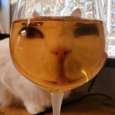 一张创意摄影作品，展示了一个装有金黄色液体的高脚杯。透过杯中的液体，可以清晰看到一只猫的面部特征——两只圆圆的眼睛、小巧的鼻子和嘴巴，仿佛猫咪的脸被「封印」在了酒杯里。这种奇妙的视觉效果是通过液体表面张力和光线折射共同作用形成的巧合错位，让普通的居家场景瞬间充满趣味。