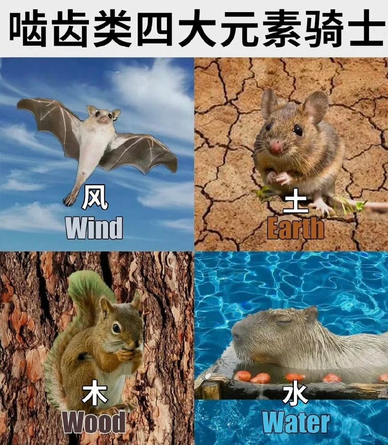 老鼠