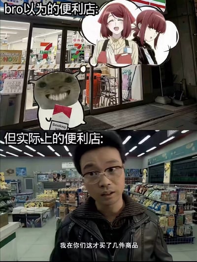 这是一张上下对比的搞笑梗图，上半部分配文“bro以为的便利店”，背景是7-ELEVEN便利店的门头，搭配了游戏《少女前线》中的春田、M16A1两个二次元美女店员的形象，还有叼着香烟的Cheems恶搞狗形象，展现了大众对便利店的浪漫化、二次元化的美好想象；下半部分配文“但实际上的便利店”，是网络流传的梗视频截图，一名戴眼镜穿皮衣的男子站在真实的便利店内，表情无奈无语，配字幕“我在你们这才买了几件商品”，用现实中可能遇到的糟心消费场景和上半部分的美好想象形成强烈反差，营造出搞笑的效果。