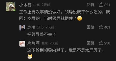 这是一张横版的社交媒体评论区截图，展示了三条发布于2天前的网友评论，内容围绕职场经历展开。来自山东的用户“小木筏”分享了自己的职场趣事：工作失误时被领导质问“干什么吃的”，他直接回复“吃屎的”，让领导当场愣住，这条评论获得了821个点赞；来自江苏的用户“冰凌”回复调侃“把领导整不会了”，获得401个点赞；来自北京的用户“片片啊”则玩梗式回复“这下轮到领导内耗了，我是不是太严厉了”，还配上了猫咪表情，获得238个点赞。整个内容通过反套路的回复制造出强烈的反差感，用幽默的方式吐槽职场中的上下级互动，引发网友的共鸣与趣味调侃。