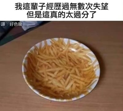 图片中展示了一盘放在木质桌面上的薯条，薯条呈金黄色，装在带有浅色花纹的白色盘子里。图片上方配有繁体中文文字：“我這輩子經歷過無數次失望但是這真的太過分了”，下方标注“譯：好色龍”。通过将日常经历的“失望”与一盘薯条进行夸张对比，以幽默方式表达对某事（此处借薯条具象化）的强烈不满，形成反差萌的搞笑效果。