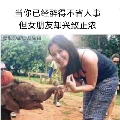 图片上方配有文字“当你已经醉得不省人事 但女朋友却兴致正浓”，下方是一张真人互动照片：一名穿着黑色背心和花纹长裤的女子正弯腰微笑，用手轻握一只婴儿象伸出的鼻子，小象则张着嘴，显得十分亲近。图片通过文字与画面的幽默关联，将女子的热情与小象的被动（暗喻醉酒者）形成反差，营造出搞笑的情侣日常场景。