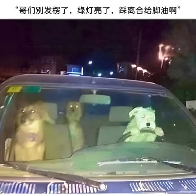 夜晚场景下，一辆汽车内坐着三只'狗子'——副驾驶座的金毛犬焦急喊话，后座狗子好奇张望，而驾驶座竟是一只表情呆滞的毛绒玩具狗。图片上方配有文字'哥们别发楞了，绿灯亮了，踩离合给脚油啊'，通过拟人化的场景和幽默对话，营造出搞笑的氛围，仿佛副驾狗子在催促走神的'司机'赶紧开车。
