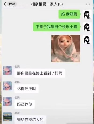 这是一张微信聊天记录截图，展示了一个孩子与父母之间的幽默对话。孩子向妈妈抱怨自己很累，说下辈子想当一只快乐小狗，妈妈则幽默回应让孩子如果在路上看到她要记得汪汪叫，她还会养孩子，爸爸最后补刀说要给孩子拉坨大的。对话中还包含一张裹着毯子的猫咪图片，增加了趣味性。