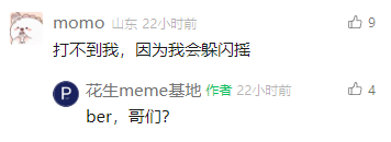这是一张社交媒体评论区的截图，在账号“花生meme基地”的相关内容下，用户“momo（山东）”发布评论“打不到我，因为我会躲闪摇”，引用了网络热梗“躲闪摇”，该梗源于相关趣味视频里的标志性动作，带有戏谑、搞怪的意味；账号作者“花生meme基地”回复“ber，哥们？”，用口语化的表达回应，形成轻松有趣的互动氛围，展现了网络社区中用户玩梗互动的常见场景。
