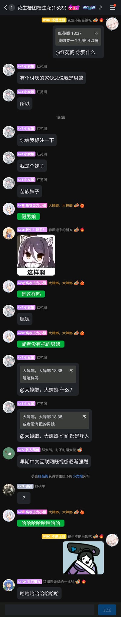 这是一张社群聊天记录截图，群名为“花生梗图梗生花(1539)”。用户“红苑阁”因为总被他人调侃是男娘，向管理员“不是土豆”索要标签，希望标注自己是苗族妹子来证明性别，结果群友“高攻击力小强”借此玩梗，给出“假男娘”“没有把的男娘”这类调侃性的标签，红苑阁对此表示不满，其他群友也纷纷加入调侃，整个互动充满群友间的趣味玩梗氛围，风格轻松搞笑。