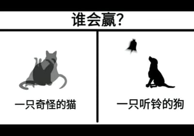 这是一张左右分栏的黑白静态对比图，顶部醒目位置配有文字‘谁会赢？’，抛出胜负对决的问题。左侧栏是两只猫的剪影完全重叠在一起，形成了形态怪异的组合形象，下方标注文字‘一只奇怪的猫’；右侧栏是一只呈坐姿的狗的剪影，正抬头看向悬在它上方的铃铛，下方标注文字‘一只听铃的狗’。整幅图以趣味化的奇特角色设定，引发观看者对这两个特殊角色谁能获胜的讨论，属于充满脑洞的网络趣味创作。