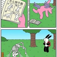 兔子（Buni）