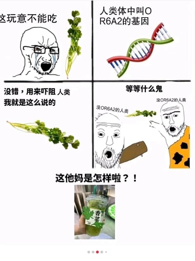 这是一张以暴走漫画风格制作的多图拼接梗图，围绕“OR6A2基因影响人类对香菜的喜好”这一科学说法展开创作：左上是带有OR6A2基因、厌恶香菜的人，崩溃流泪大喊“这玩意不能吃”；右上标注“人类体中叫OR6A2的基因”的DNA双螺旋图；左下是拟人化的香菜，配文“没错，用来吓阻人类 我就是这么说的”；右下是没有OR6A2基因、能接受香菜的两个人，看到香菜露出震惊疑惑的表情，配文“等等什么鬼”；最后下方展示了一杯香菜主题的饮品，配文“这他妈是怎样啦？！”，用来调侃如今香菜被开发成各类新奇饮品，不管是否喜欢香菜的人都会觉得离谱的现状，放大了香菜喜好差异和食品创新带来的反差感。