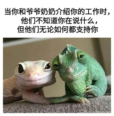 图片上方配有文字：'当你和爷爷奶奶介绍你的工作时，他们不知道你在说什么，但他们无论如何都支持你'，下方是两只爬行动物（一只浅色壁虎和一只绿色蜥蜴）相互依偎的照片。画面通过动物间的温馨互动，形象比喻了爷爷奶奶对孙辈工作虽不理解但全力支持的温暖情感，整体风格治愈且充满亲情。