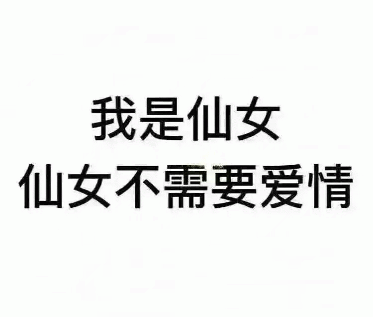 我是仙女 仙女不需要爱情