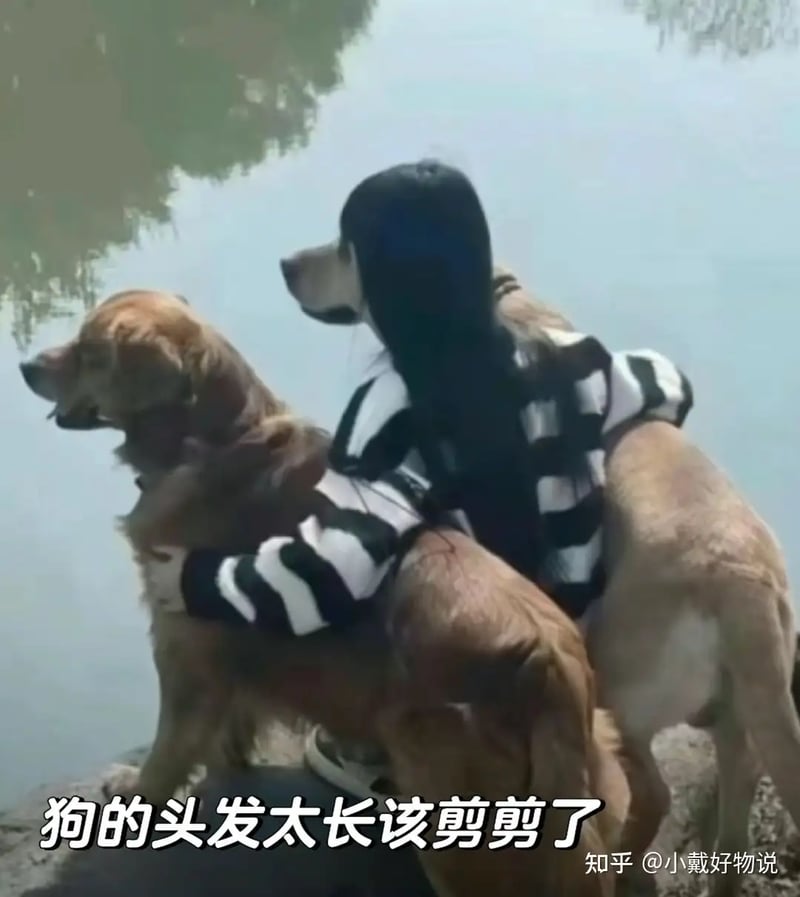 女孩