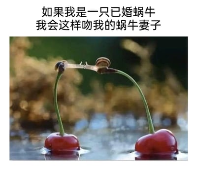 这是一张经过P图改编的趣味创意图文作品，画面主体是两颗浸泡在水面的红色樱桃，樱桃的果梗部分被替换为两只蜗牛，两只蜗牛伸出柔软的身体相互触碰，视觉上呈现出亲吻的姿态。图片上方配有文字“如果我是一只已婚蜗牛 我会这样吻我的蜗牛妻子”，通过拟人化的设定和视觉错位的创意手法，将普通的樱桃和蜗牛结合，营造出一种温馨又充满趣味性的浪漫氛围，用诙谐的方式展现了对平凡浪漫的想象。