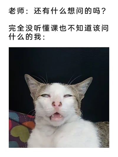 这是一张精准戳中学生群体共鸣的搞笑梗图，采用图文结合的形式呈现：上方文字模拟课堂场景，先是老师询问“还有什么想问的吗？”，接着用文字说明“完全没听懂课也不知道该问什么的我”，下方搭配一张猫咪的照片，这只猫咪双眼半睁、眼神涣散、嘴巴微张，一脸茫然呆滞的神态，完美还原了学生在课堂上完全听不懂授课内容，面对老师的提问时大脑空白、不知道该如何提问的尴尬又真实的状态，用猫咪的迷惑表情生动传递出那种无措、窘迫的情绪，极具代入感。