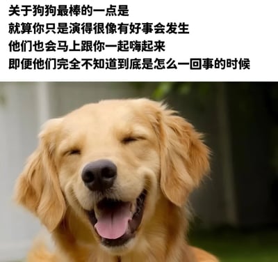 图片上方是关于狗狗的文字描述："关于狗狗最棒的一点是 就算你只是演得很像有好事会发生 他们也会马上跟你一起嗨起来 即便他们完全不知道到底是怎么一回事的时候"。下方是一只金毛犬的特写照片，狗狗眼睛微闭，嘴巴张开，舌头伸出，露出开心的表情。