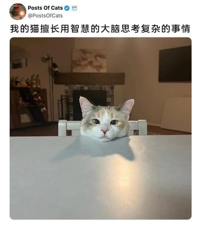 这是一张来自X（原Twitter）的社交媒体截图，认证账号Posts Of Cats发布了这则内容，配文为“我的猫擅长用智慧的大脑思考复杂的事情”。图中一只三色猫咪将头部搭在桌沿，仅露出头部，在光线的作用下，猫头顶在桌面上的影子呈现出类似大脑的形状，和配文形成趣味呼应，制造出猫咪正用“智慧大脑”专注思考的搞笑效果，是利用视觉错觉打造的萌宠趣味内容，显得猫咪既严肃又可爱。