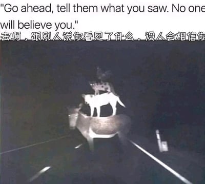 暂无描述