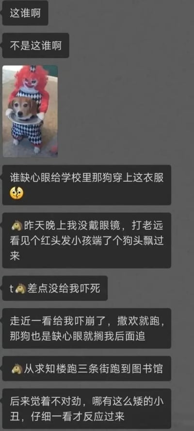 这是一张聊天记录截图，内容围绕一只穿着红头发小丑装的狗狗展开。对话中，用户先是疑惑“这谁啊”，接着吐槽给狗穿衣服的行为，随后分享了昨晚没戴眼镜的搞笑误会：远远看见“红头发小孩端着狗头飘过来”，吓得从求知楼跑三条街到图书馆，最后走近才发现是穿小丑装的狗狗在追自己。整个对话充满幽默和夸张的描述，展现了因视觉误差引发的校园趣事。