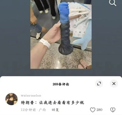这张图片是社交媒体平台的内容截图，上方部分展示了一只手握着一个以美国前总统特朗普头部为顶端造型的蓝色成人情趣用品，背景能看到室内的台面和其他人的腿脚；下方是评论区界面，用户“watermelon”发布的评论“特朗普：让我进去看看有多少税”成为热门评论，获得280个点赞，该评论结合了特朗普的税务相关话题与该情趣用品的用途，制造出荒诞搞笑的效果，属于网络上的玩梗内容。