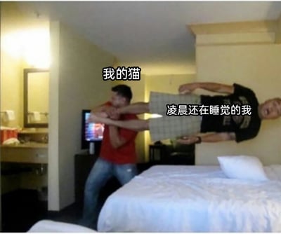 这是一张经过P图改编的搞笑文字加注梗图，场景设定在一间酒店房间内，画面中穿红色上衣的男子被标注为“我的猫”，他正双手用力抓住另一名穿黑色上衣、格子裤男子的手臂，将其从床边抬起；被抬起的男子被标注为“凌晨还在睡觉的我”，他嘴巴大张，表情痛苦，呈现出被强行拖拽的姿态。这张图用夸张的肢体冲突画面，生动还原了养猫人群在凌晨熟睡时被猫强行打扰、弄醒的无奈又好笑的日常经历，精准戳中铲屎官的共鸣点。