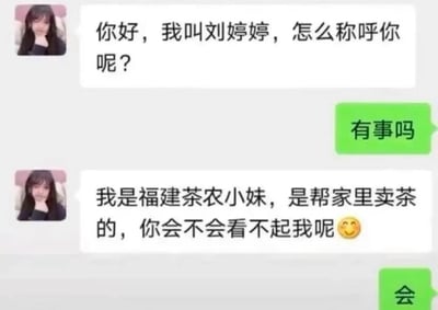 这是一张竖屏手机格式的微信聊天记录截图，呈现了一段充满反差感的搞笑对话：自称刘婷婷的“福建茶农小妹”先礼貌打招呼并介绍自己，对方直接冷淡反问“有事吗”；随后刘婷婷使用常见的卖惨式营销话术，称自己是帮家里卖茶的，询问会不会被看不起，对方直接回复“会”，用完全不按常理出牌的扎心回应，打破了网络上常见的“茶农小妹卖茶”的营销套路，制造出强烈的搞笑效果。