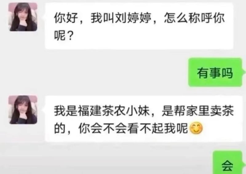 网络虚构营销角色