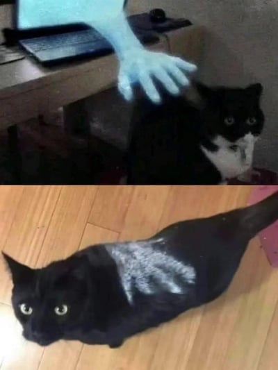 这是一张上下对比的搞笑梗图。上图中，一只黑白相间的猫咪正惊讶地抬头看，一只半透明的蓝色幽灵手正从上方伸向它的背部。下图则展示了一只纯黑色的猫咪，它的背上清晰地留下了一个白色的手印，显然是上图中幽灵手触摸后的结果。这种前后对比创造出幽默效果，仿佛幽灵手真的在猫咪身上留下了物理痕迹。