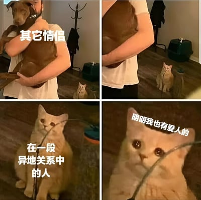 四格拼接图，通过对比展现情感差异。左上格：男子抱着棕色狗，配文“其它情侣”，呈现亲密状态；右上格：同一男子继续抱狗，背景中橘猫独自坐地观望；左下格：橘猫特写，配文“在一段异地关系中的人”；右下格：橘猫近景，配文“明明我也有爱人的”，眼神委屈。用宠物视角幽默演绎异地恋者的孤独与羡慕，形成“别人的甜蜜”与“自己的落寞”的反差萌。