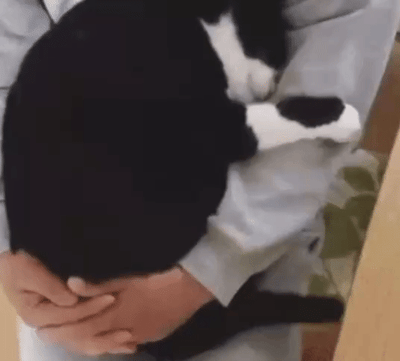 这张图片呈现了一个有趣的视觉错位场景：一只黑白相间的猫咪趴在人的手臂上，将头部埋在自己的身体下方，它带有黑色斑块的白色爪子和部分身体，与人类交叉放在下方的手臂、手部恰好组合在一起，形成了仿佛猫咪身体与人类手臂融合的错觉，营造出可爱又充满趣味的日常画面，让人看了会觉得新奇又温馨。