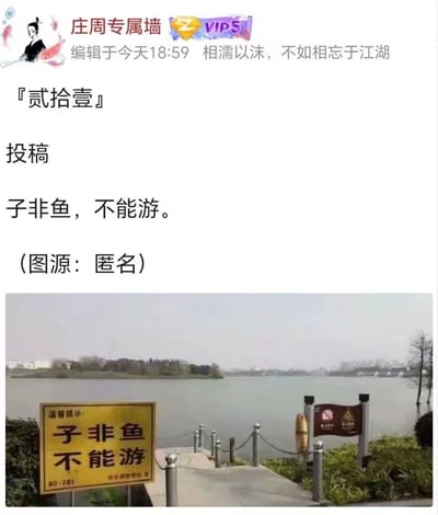 图片上方为社交媒体风格的"庄周专属墙"界面，带有VIP5标识，编辑时间显示为今天18:59，引用名言"相濡以沫，不如相忘于江湖"。中间部分标注"贰拾壹"投稿，内容为"子非鱼，不能游。"。下方是一张湖泊实景图，湖边立着黄色警示牌，上书"子非鱼 不能游"，旁边还有带禁止游泳标识的警示牌。整体通过将庄子经典哲学语录"子非鱼，安知鱼之乐"幽默改编为景区警示语，形成创意调侃效果。