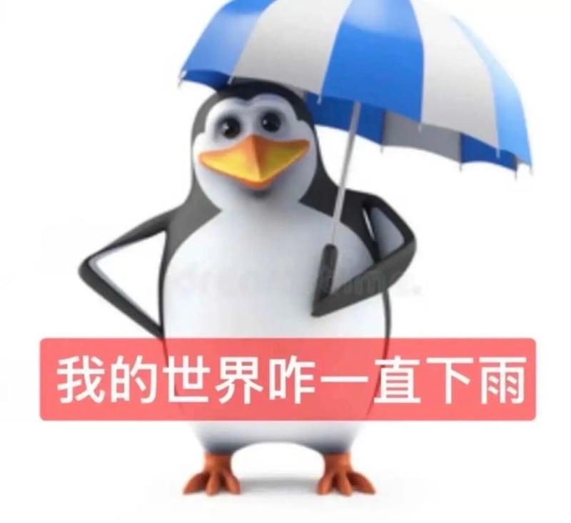 高雅人士：我的世界咋一直下雨