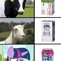 奶牛