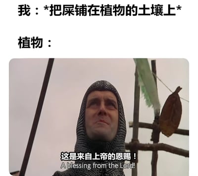 这是一张搞笑梗图，上方文字写着"我：*把屎铺在植物的土壤上*"，下方是一个穿着中世纪锁子甲的士兵仰头望向天空的画面，配文"植物：这是来自上帝的恩赐！A blessing from the Lord!"。图片通过拟人化手法，幽默地表现了植物对肥料的渴望，将施肥行为夸张地比作"上帝的恩赐"，形成反差萌的喜剧效果。