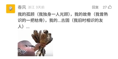 这是一条来自社交媒体的用户评论，发布者为“春风”，内容是玩鸽子叫声“咕咕咕”的谐音梗，将“咕咕咕”拆解为“孤顾”“故骨”“古固”三个谐音词汇，并为每个词汇赋予了带有文艺感的解读；评论下方搭配了一张创意P图，通过图像拼接的方式，将鸽子的身体与握着多只鸟类的人手结合，营造出鸽子握着多只鸟的视觉错位效果，与谐音梗的“咕咕咕”相呼应，整体内容搞笑又有创意，该评论获得了27个点赞。