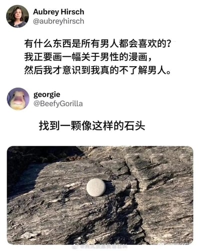这是一张整合了社交媒体对话与实拍图的内容，用户Aubrey Hirsch在平台上发起提问，表示自己计划创作一幅关于男性的漫画，却发现自身并不了解男性群体，因此询问是否存在所有男人都会喜欢的事物；用户georgie给出回复，称这样的事物是找到一颗如图中所示的圆润光滑的浅灰色石头，配图为一块放置在纹理粗糙、层次分明的岩石上的圆形石头。这个回复精准调侃了许多男性在成长过程中都有收集特殊石头的共同趣味，容易引发相关群体的共鸣。